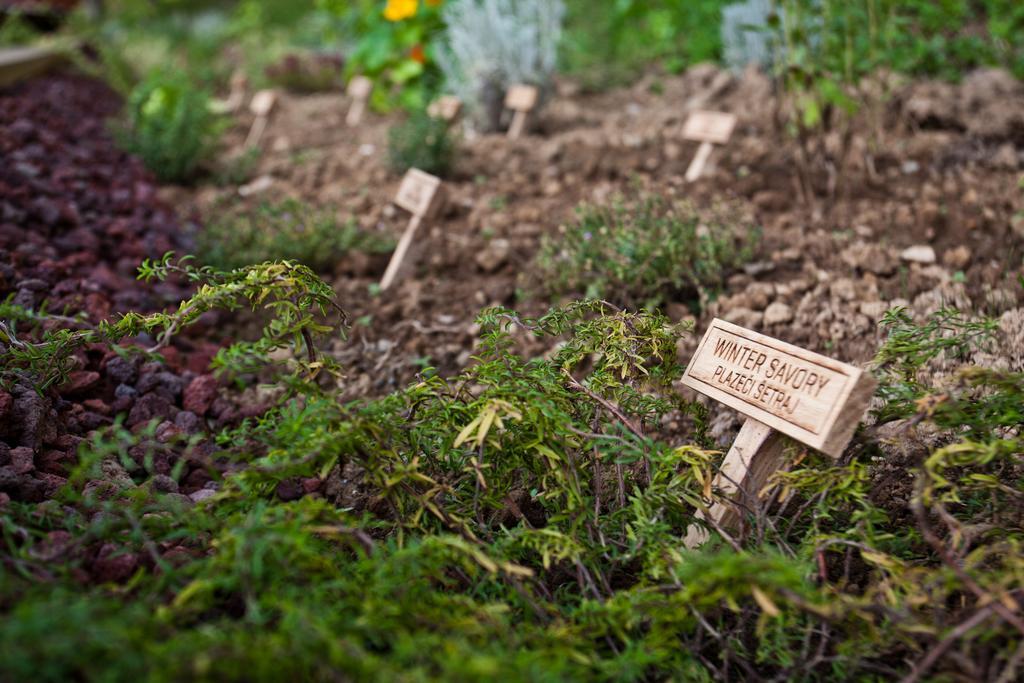 Herbal Glamping Resort Ljubno Eksteriør billede